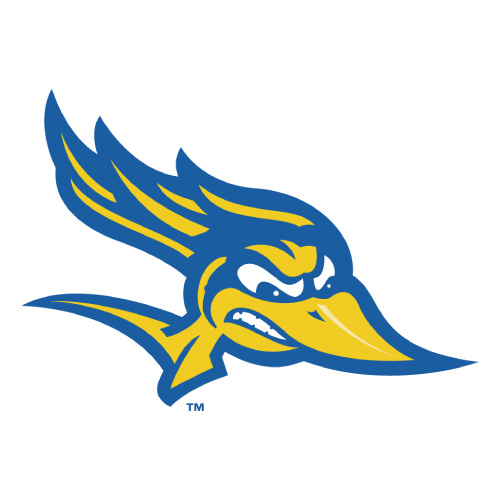 CSU Bakersfield Roadrunners logo Iron-on Transfers N4059